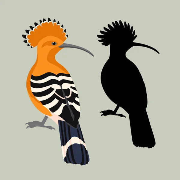 Härfågeln vektor illustration stil platt siluett — Stock vektor