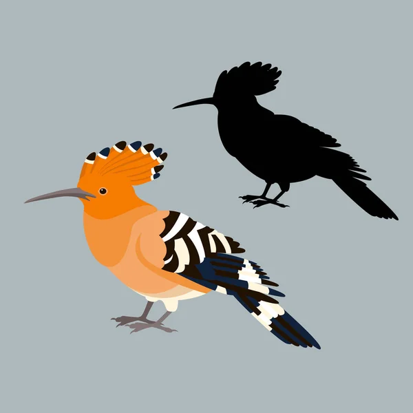 Pássaro hoopoe vetor ilustração estilo silhueta plana — Vetor de Stock