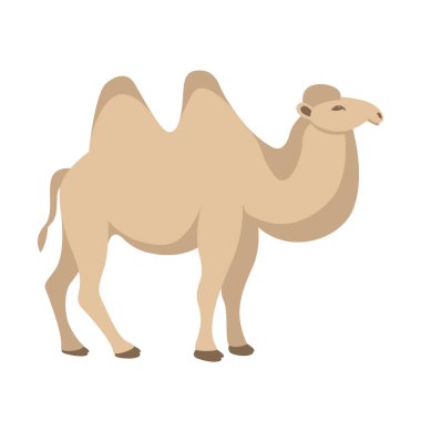 deve vektör çizim tarzı düz