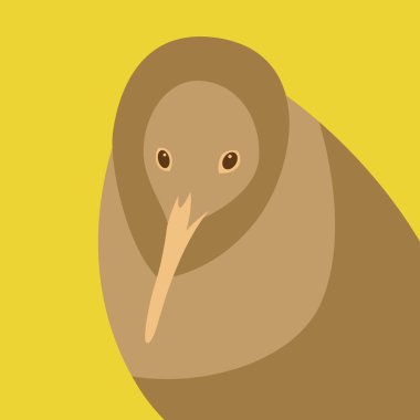 kivi kuş vektör çizim tarzı düz