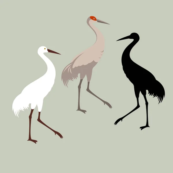 Kran fågel vektor illustration stil platt svart — Stock vektor