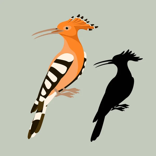 Pássaro hoopoe vetor ilustração estilo silhueta plana — Vetor de Stock