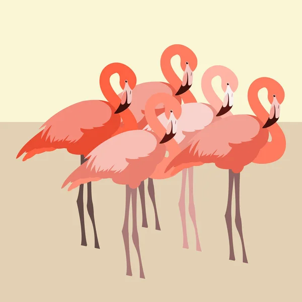 Flamingo Vektor Illustration flacher Stil — Stockvektor