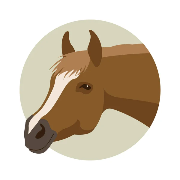Horse head vector illustration style flat profile side — Stock Vector