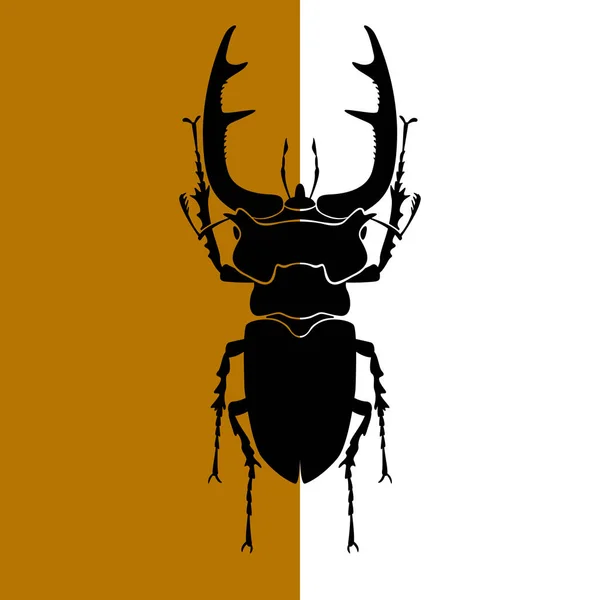 Stag beetle vector illustration  silhouette — Stock Vector