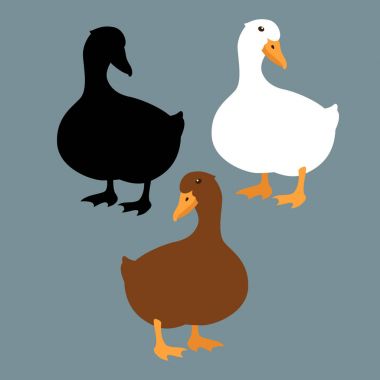 ördek siyah illüstrasyon siluet set vektör