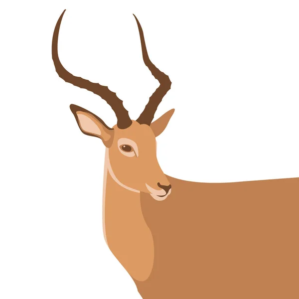 Antelope head  vector illustration style flat — Stock Vector