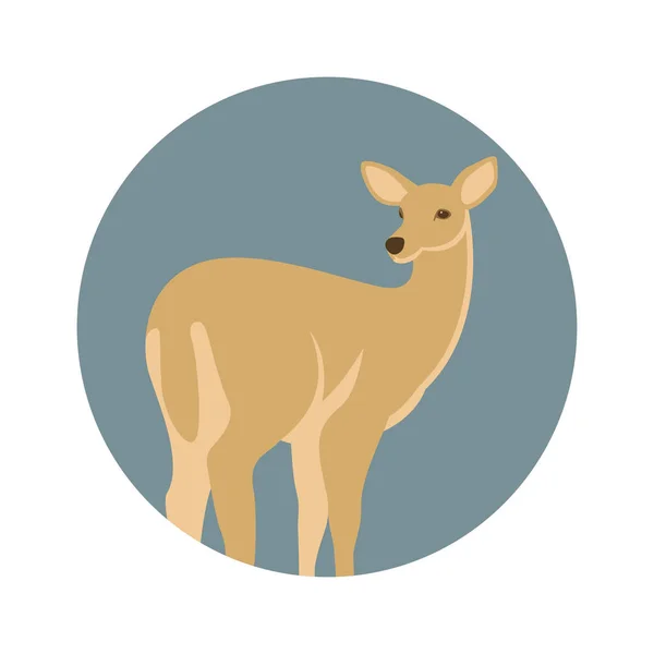 Deer  vector illustration style flat — Stock Vector