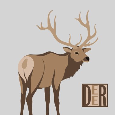 deer vector illustration style flat clipart