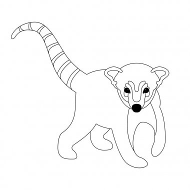 coati vektör çizim ön çizgi çizme 