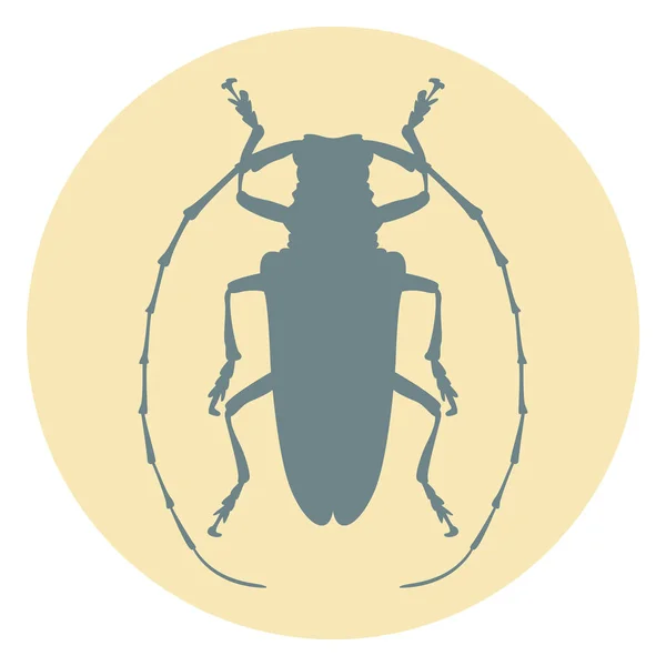 Beetle  vector illustration  silhouette — Stock Vector