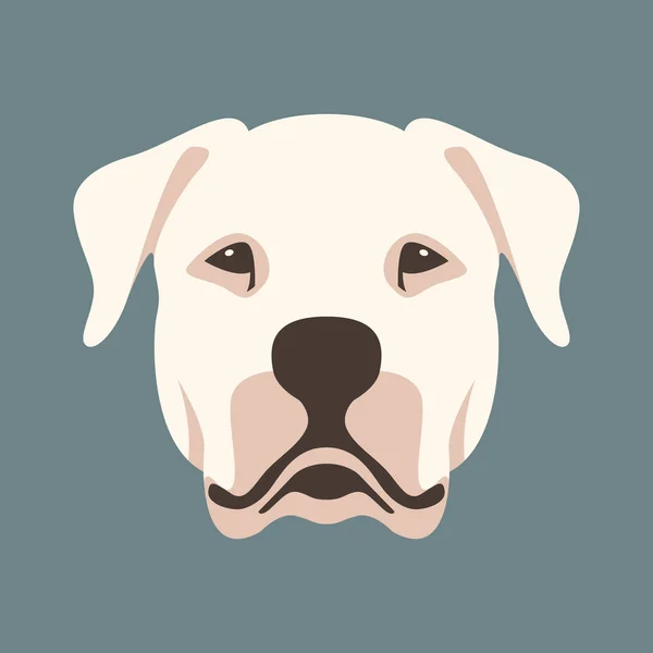 Perro argentino cara vector ilustración estilo — Vector de stock