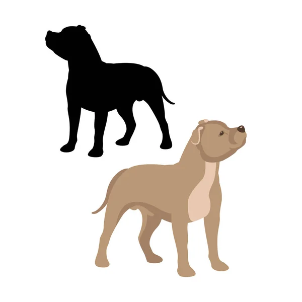 Staffordshire bull terrier vector ilustración estilo negro plano — Vector de stock