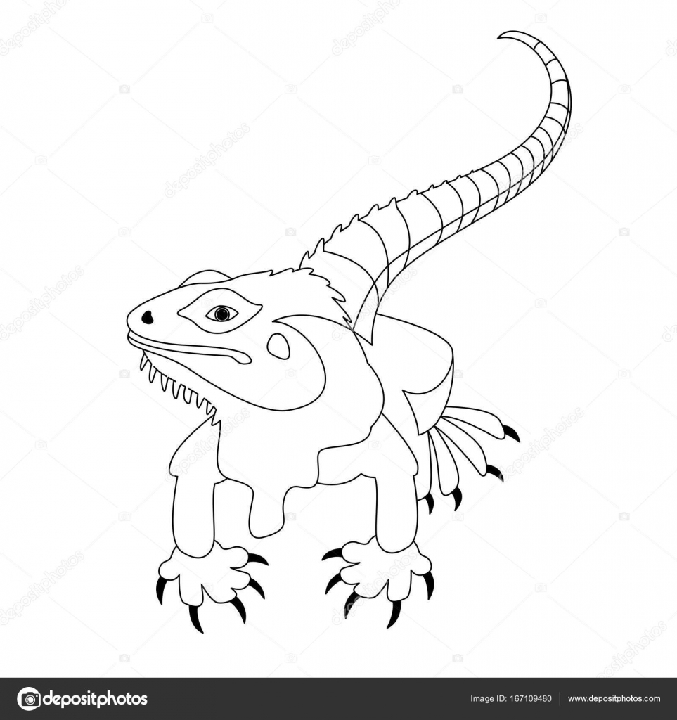 lizard vector illustration line drawing front stock vector 167109480