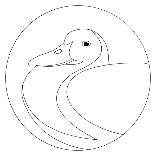 Duck vector illustration  line drawing — Stock Vector