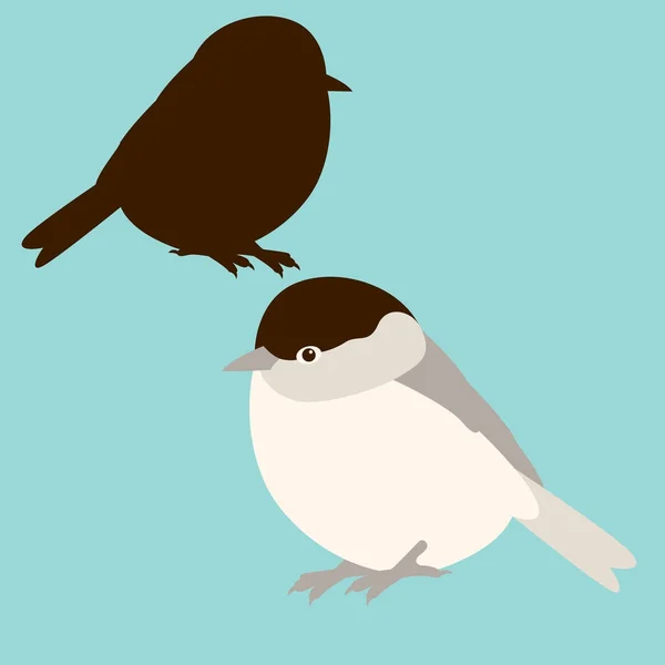 Bird tit vector illustration  style flat black silhouette set — Stock Vector