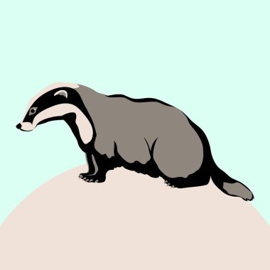 budger vektör çizim düz stil profil yan