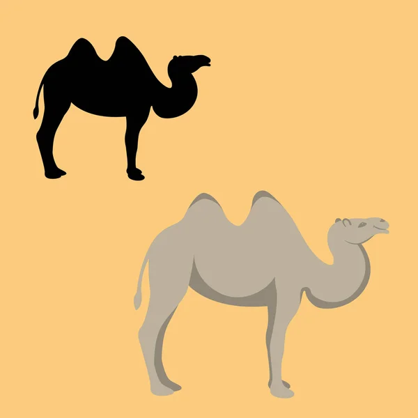 Kamel flachen Stil Vektor Illustration Silhouette — Stockvektor