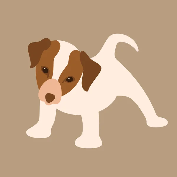 Russell hond pup vlakke stijl vector illustratie profiel — Stockvector