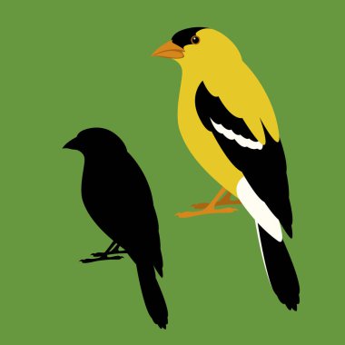 kiraz kuşu kuş vektör çizim düz stil profil görünümü 