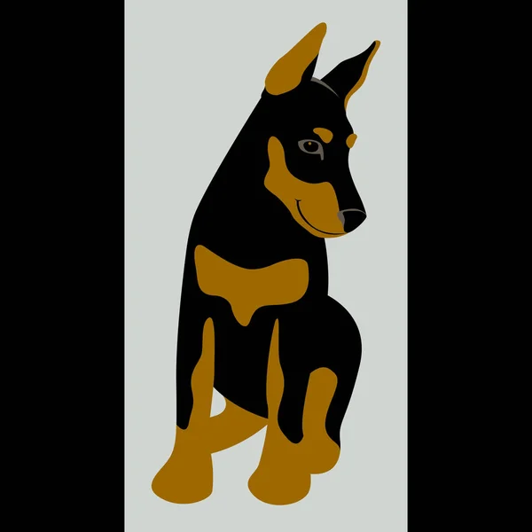 Doberman cane vettore illustrazione piatto stile anteriore — Vettoriale Stock