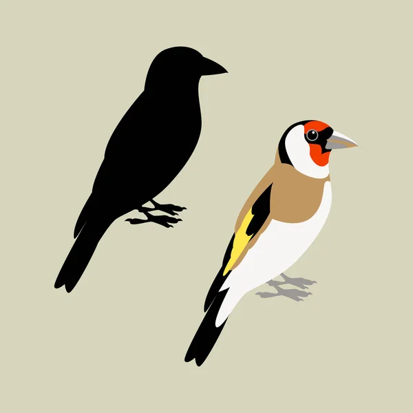 Goldfinch fågel vektor illustration platt stil svart siluett — Stock vektor