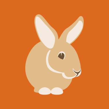 tavşan vektör çizim düz stil Önden Görünüm