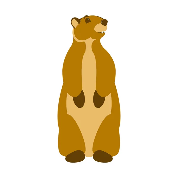 Vector de marmota ilustración frente de estilo plano — Vector de stock