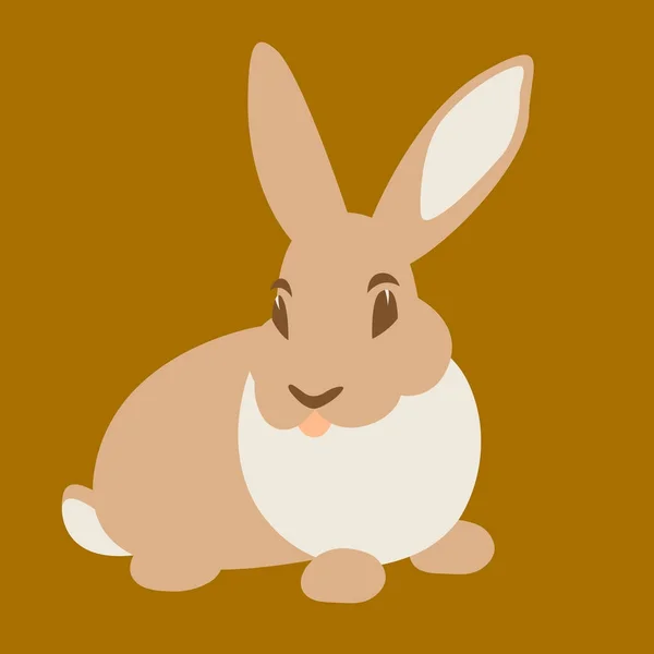 Tavşan tavşan vektör çizim düz stil ön yüzü — Stok Vektör