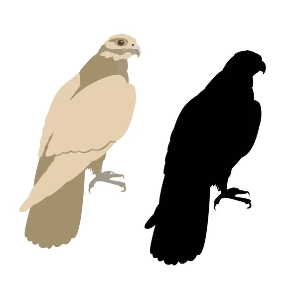 Eagle svart silhouettevector illustration platt stil profil — Stock vektor