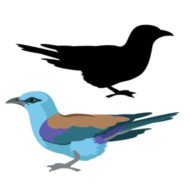 silindir kuş vektör çizim düz stil siyah siluet 