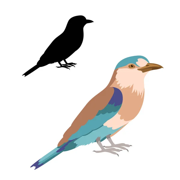 Rodillo pájaro vector ilustración plano estilo negro silueta — Vector de stock