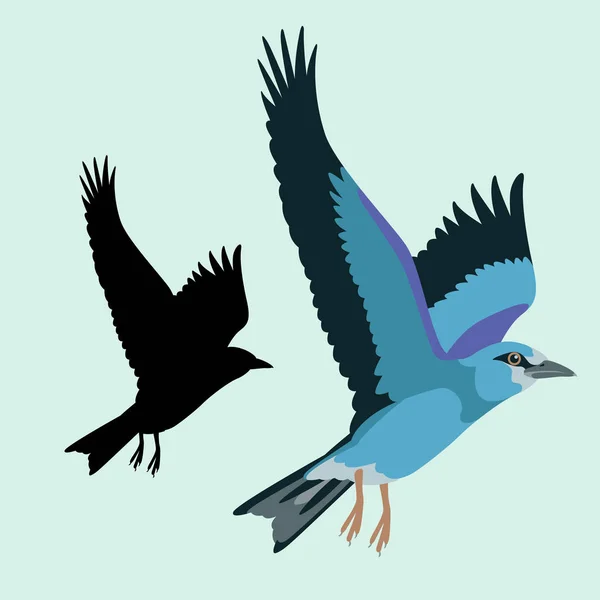 Roller Vogel Vektor Illustration flachen Stil schwarze Silhouette — Stockvektor