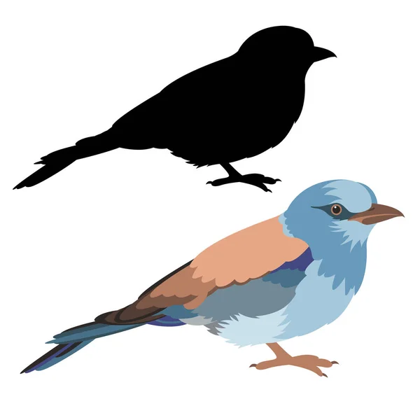 Rullen fågel vektor illustration platt stil svart siluett — Stock vektor