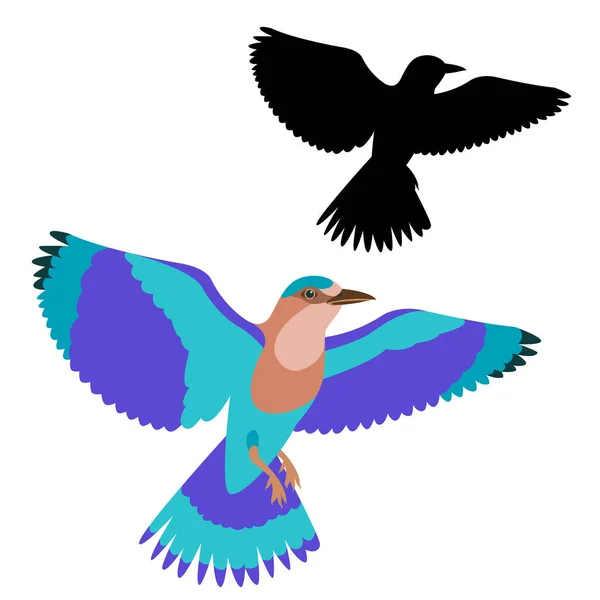 Roller vogel vector illustratie vlakke stijl zwart silhouet — Stockvector