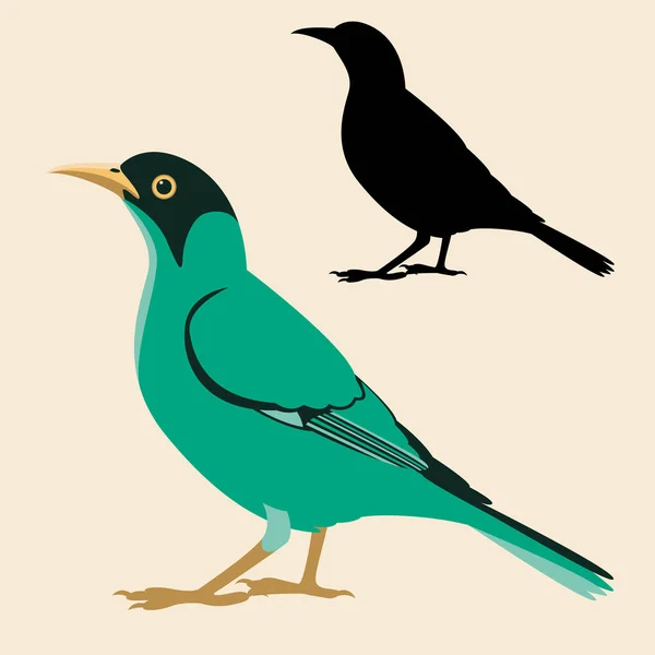 Suikervogel vogel vector illustratie vlakke stijl zwart silhouet — Stockvector