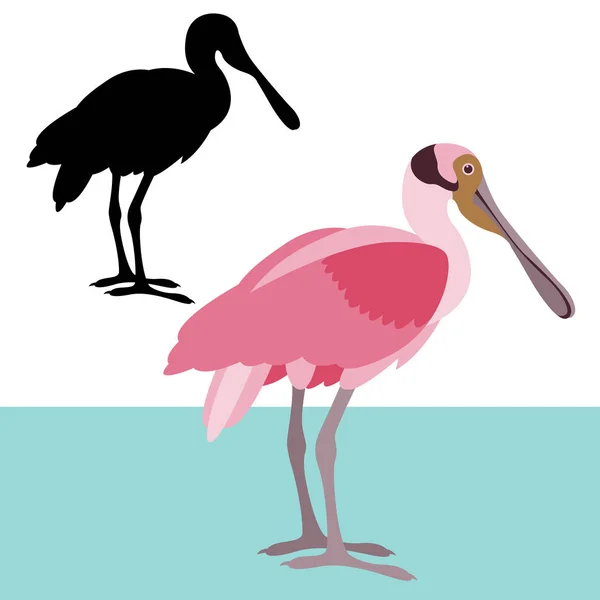 Roseate spoonbill vector illustration flat style black silhouette — Stock Vector