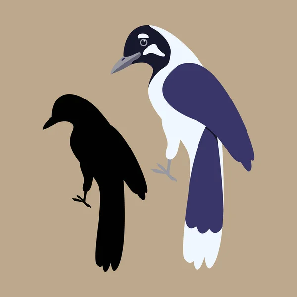 Magpie vector ilustração silhueta estilo plano perfil — Vetor de Stock