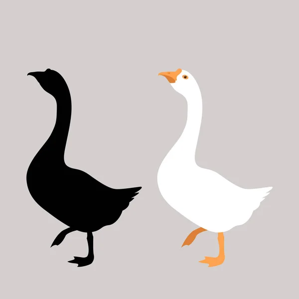 Gans vector illustratie vlakke stijl vooraan zwart — Stockvector