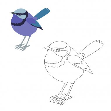 fairy wren bird vector illustration  coloring page clipart
