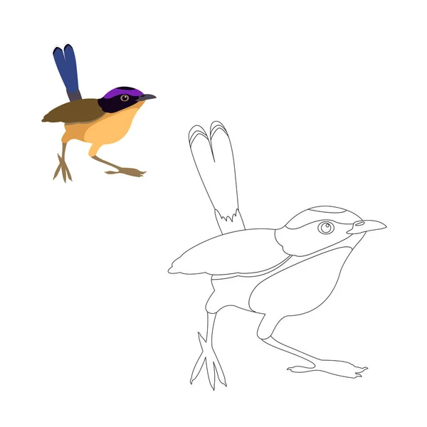 Redstart uccello vettore illustrazione colorazione pagina — Vettoriale Stock