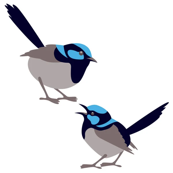 Fata scricciolo uccello vettore illustrazione stile piatto — Vettoriale Stock