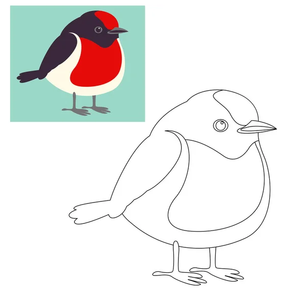 赤 - キャップ ロビン鳥ベクトル イラスト ページを着色 — ストックベクタ