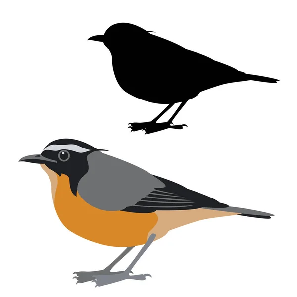 Vliegenvanger vogel vector illustratie vlakke stijl silhouet — Stockvector