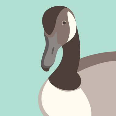 Kaz kafa vektör çizim düz Stil Açık  