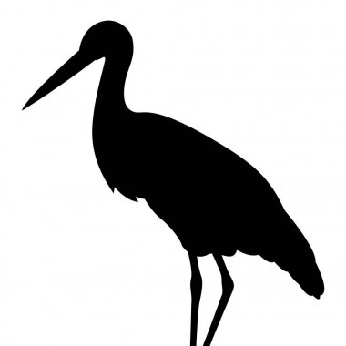 kuş leylek vektör illüstrasyon siluet siyah profili