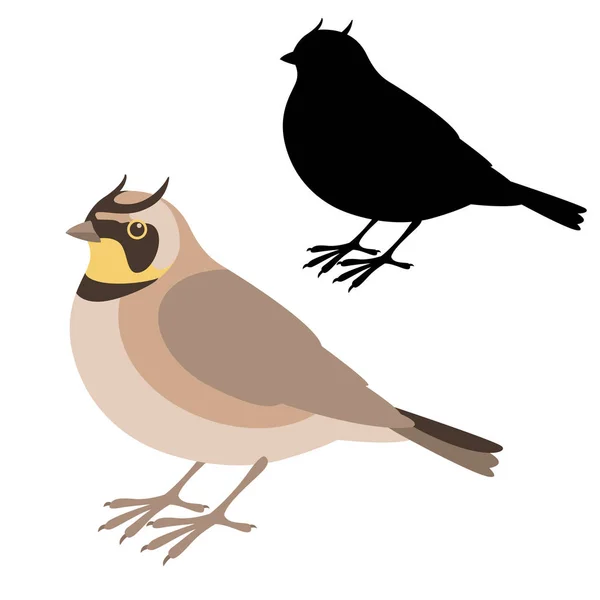 Horned lark fågel vektor illustration platt stil siluett — Stock vektor