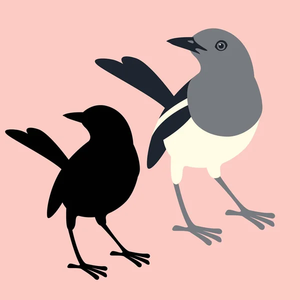 Orientale gazza pettirosso uccello vettore illustrazione stile piatto — Vettoriale Stock