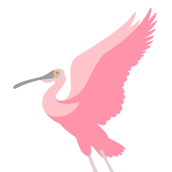 Roze lepelaar vogel vector illustratie vlakke stijl — Stockvector