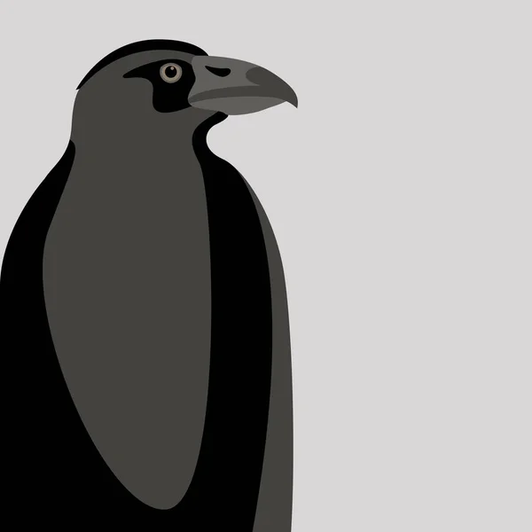 Vieil oiseau corbeau noir vecteur illustration avant — Image vectorielle